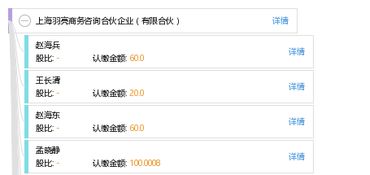 上海羽亮商务咨询合伙企业——专业商务咨询的有限合伙模式